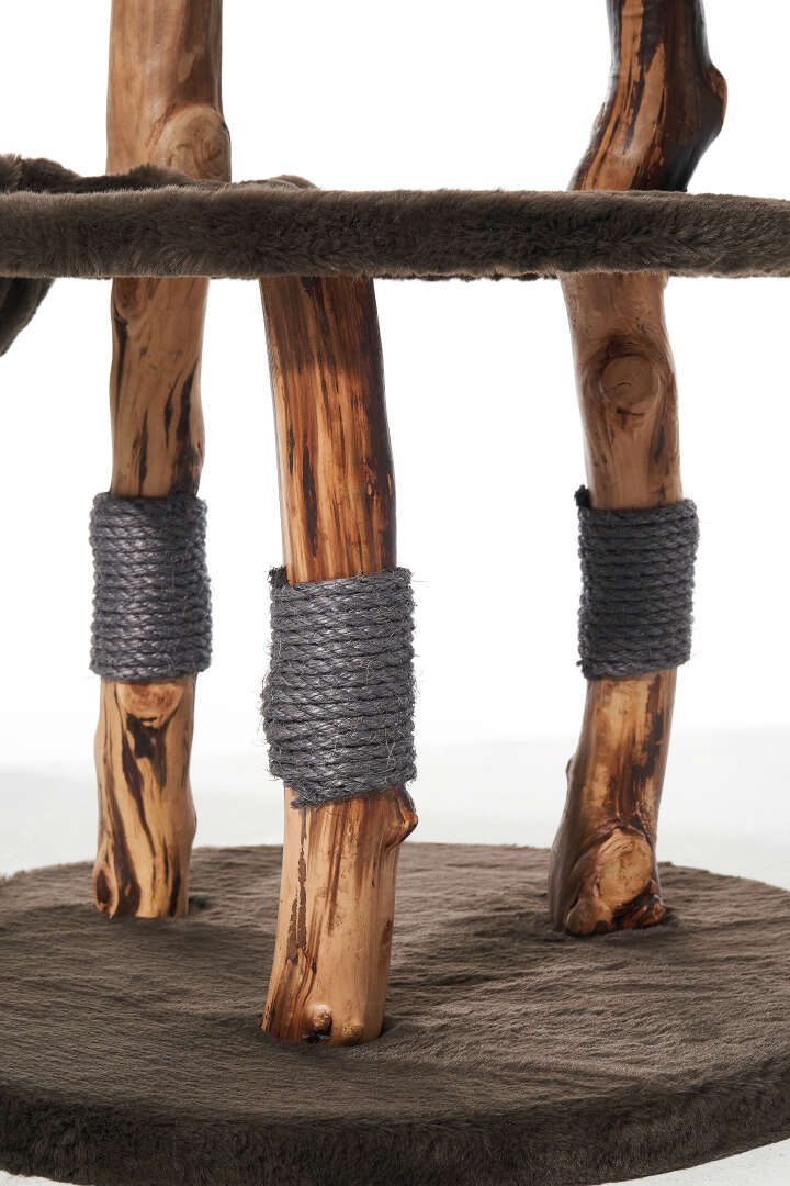 Nobby Kratzbaum Gena